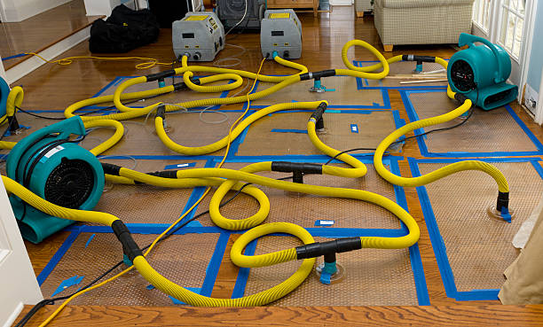 Professional Crawl Space Water Removal technician working in Ozone Park, NY